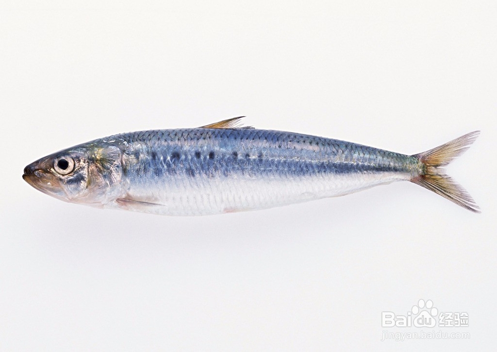 孩子长不高？多吃这6种食物