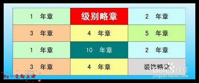 教你轻松看懂军人级别资历章、资历架、资历牌