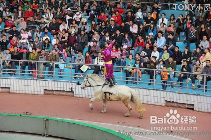 新手做土司必须要了解的5个要点---旅游外出给我们补充体力的芝麻黄油土司