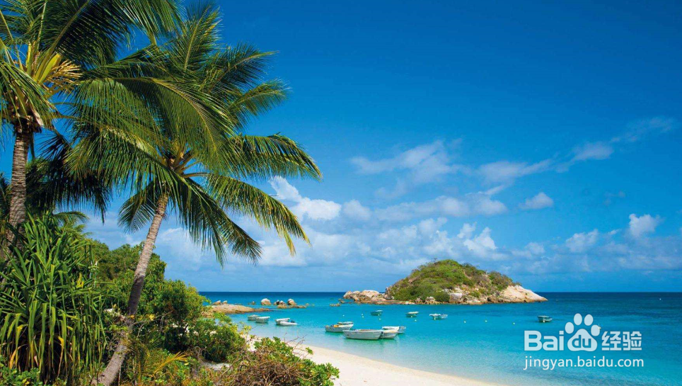 适合过年去玩的地方