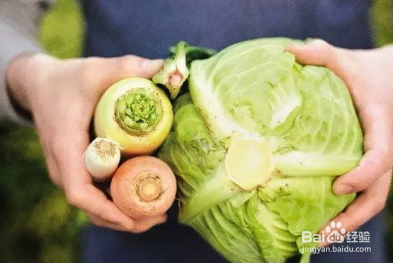 冬天必吃的6种蔬菜