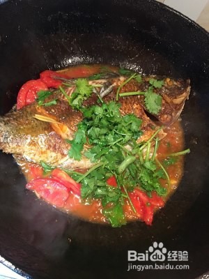食补佳品番茄豆腐炖鲫鱼的做法