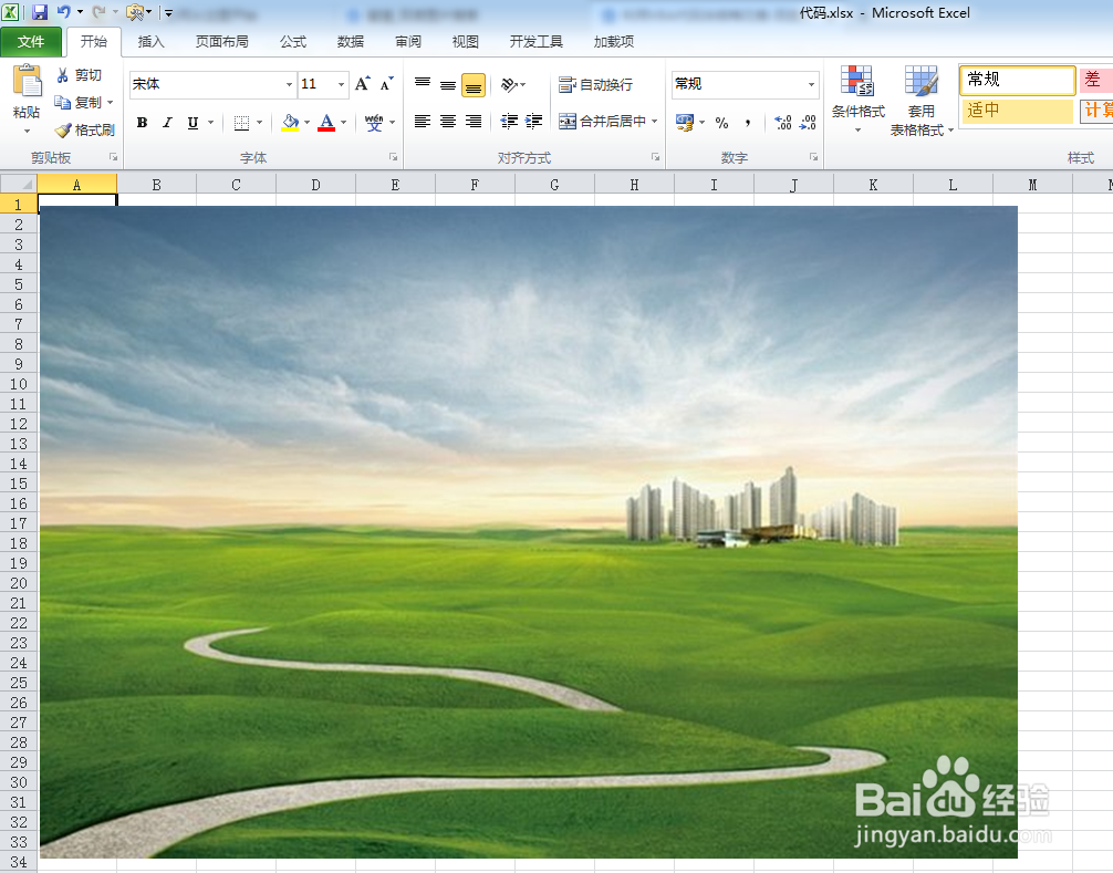 利用VBA代码涂鸦蜜獾