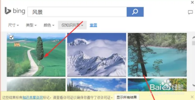 PPT如何插入联机图片