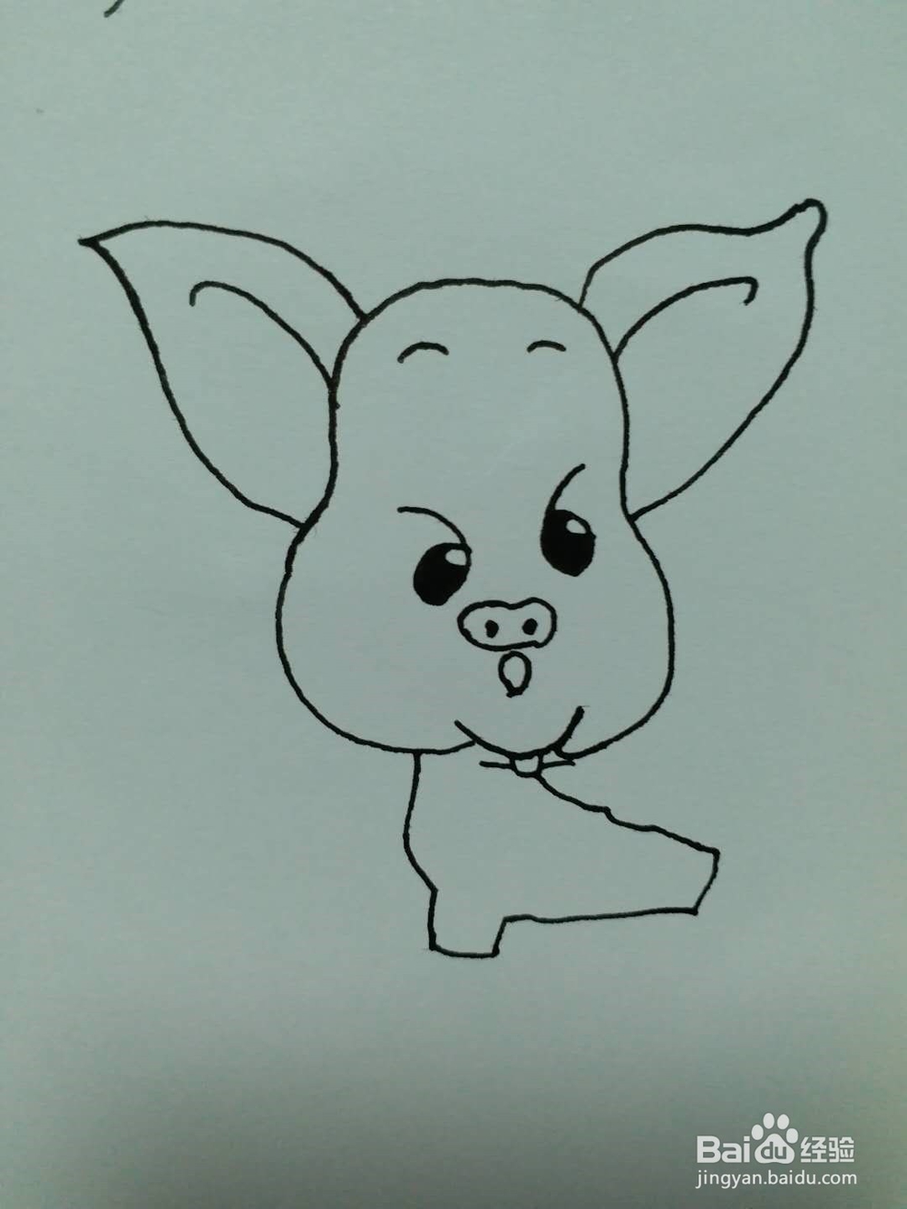 小猪的简笔画法