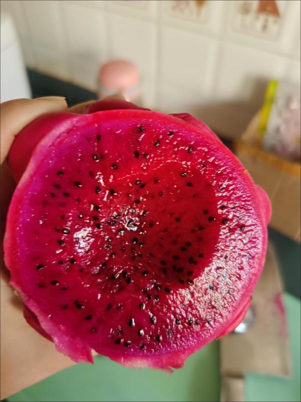 假期熬夜、发胖、假养生?你们要的健康生活方式指南来了