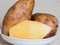 发芽的雪莲果还能吃吗