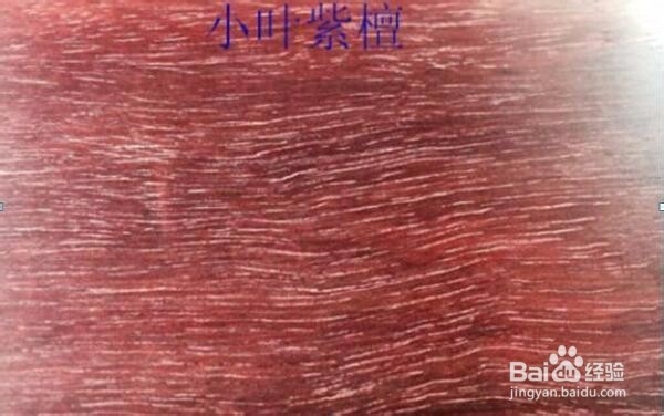小叶紫檀和血檀的分辨方法
