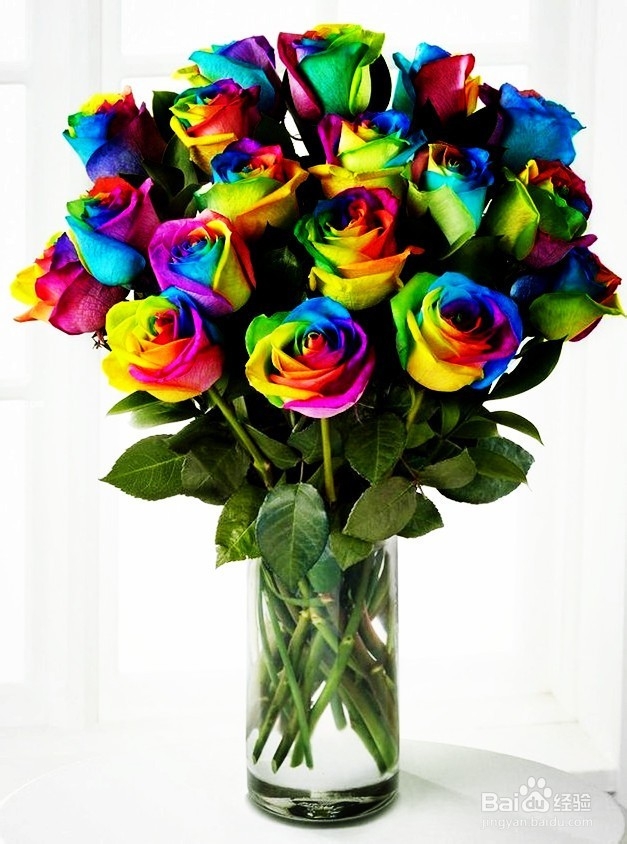 女生过生日最希望收到什么礼物