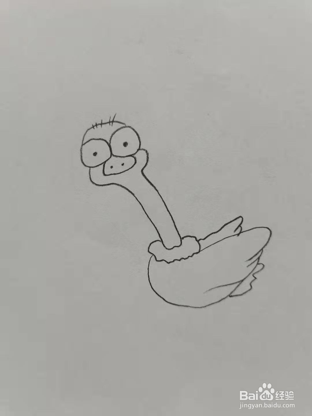 卡通鸵鸟怎么画