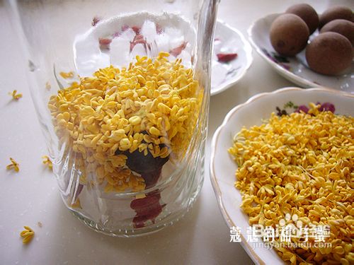 芳气袭人是酒香--重阳桂花酒