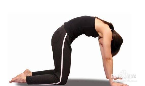 【小汇教你释放压力】两套减肥瑜伽操。