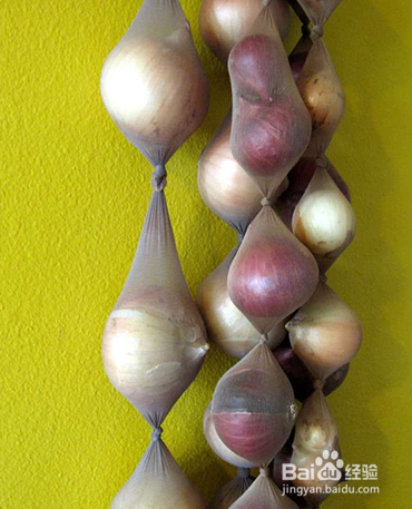 常见蔬果的保险方法