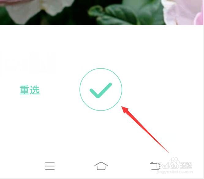 图片上的花朵如何识别出名称?