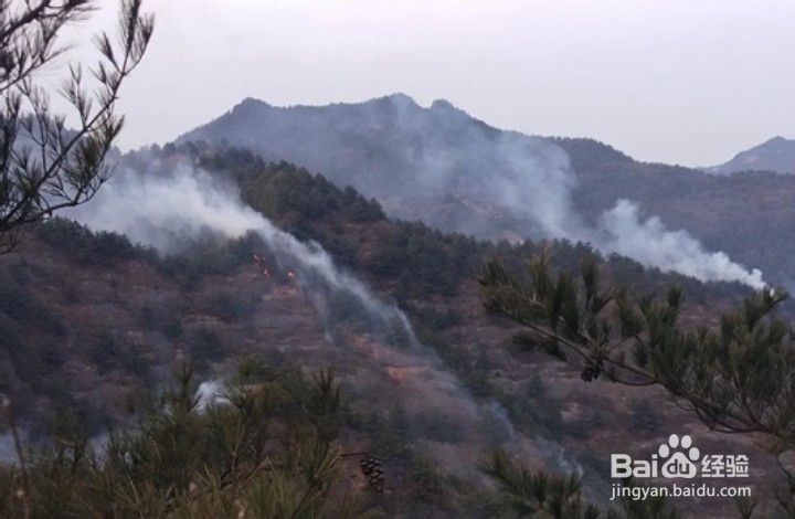甘肃森林火灾，该怎么办？