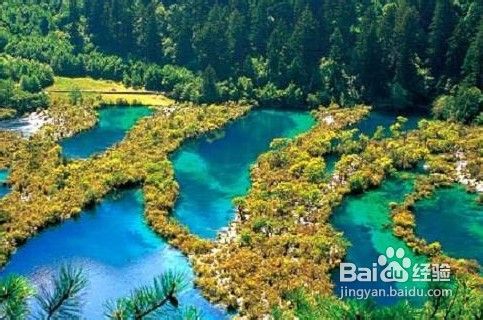 重庆到九寨沟四日游