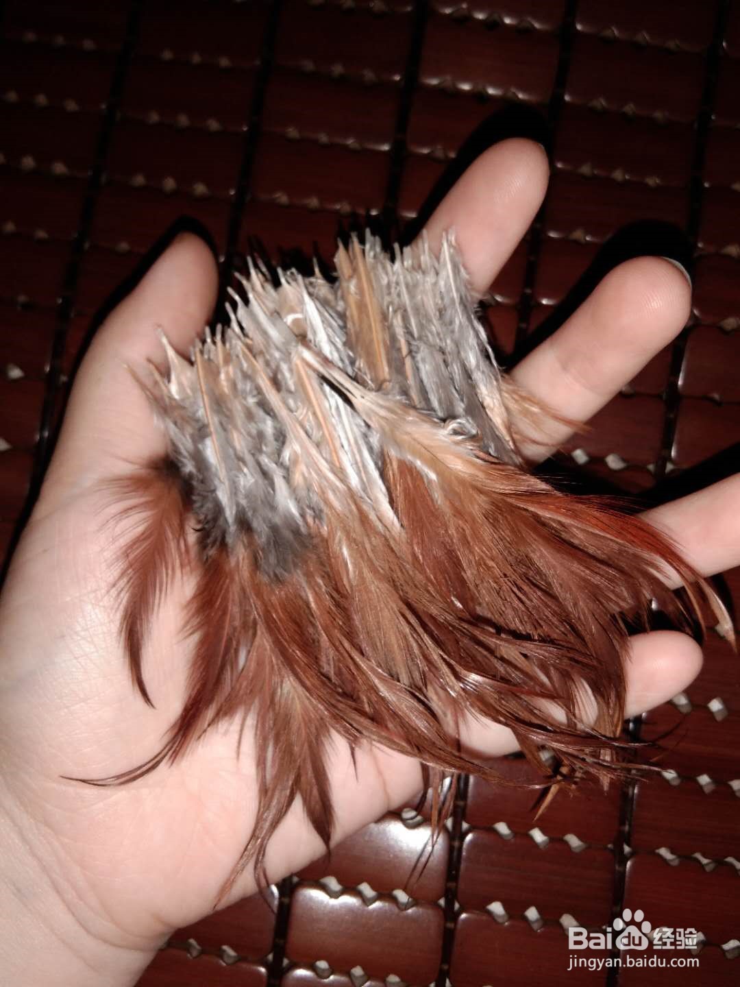 如何将鸡毛做成彩色羽毛