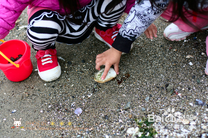 拾海的孩子&亲亲小动物(组图)