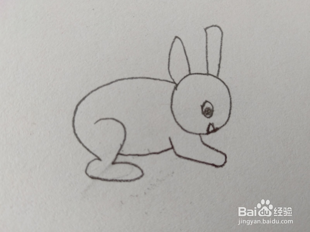简笔画如何画一个可爱的小兔?