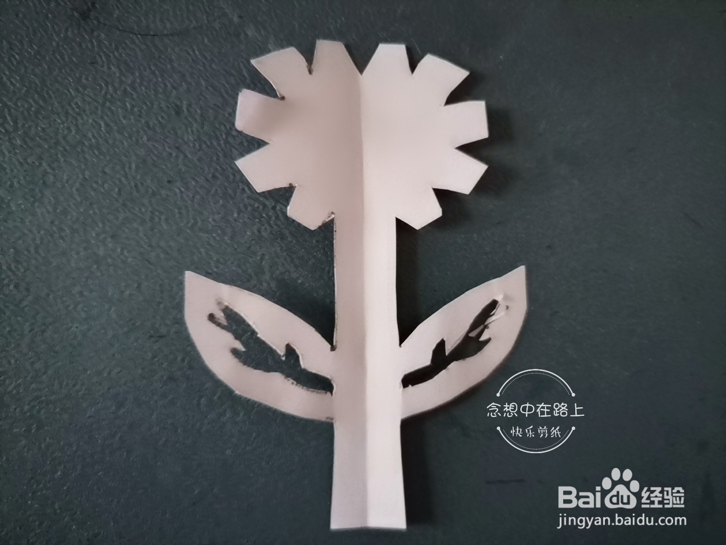 如何用彩色纸剪出野菊花纹样