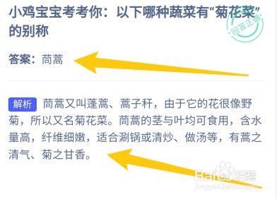 以下哪种蔬菜有“菊花菜