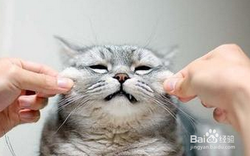 春季眼睛保健养生需注意