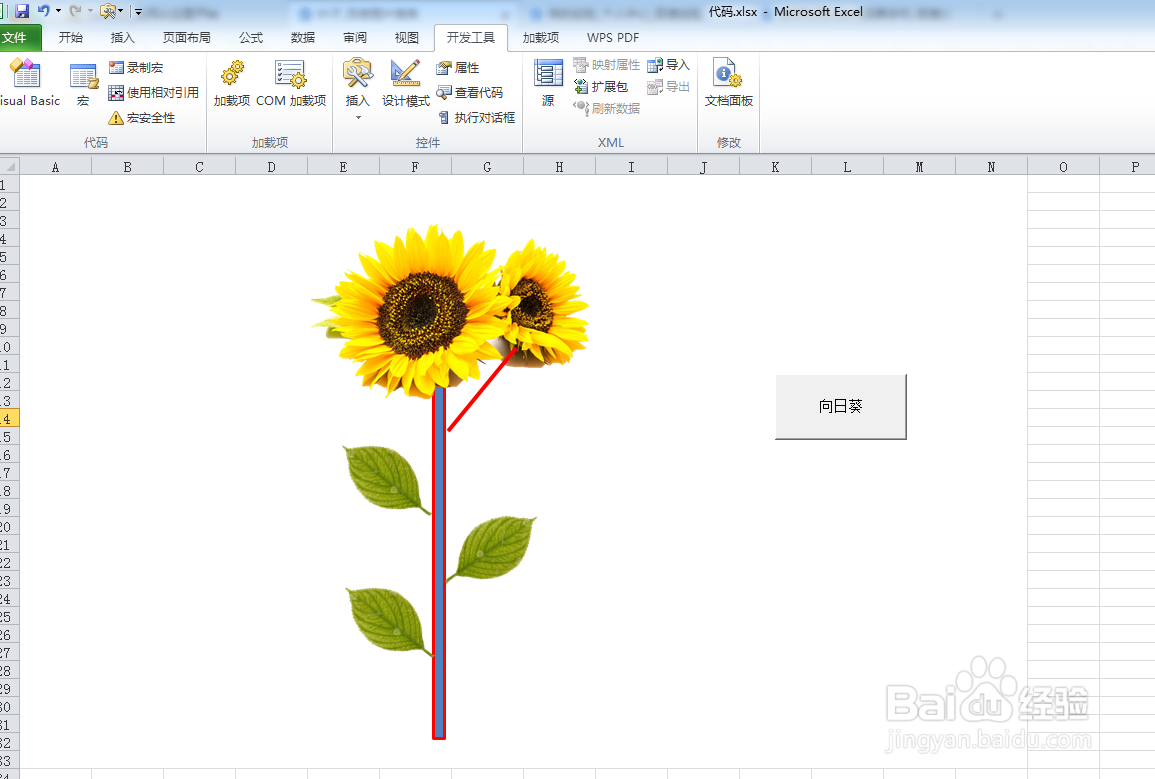 如何利用VBA代码画向日葵