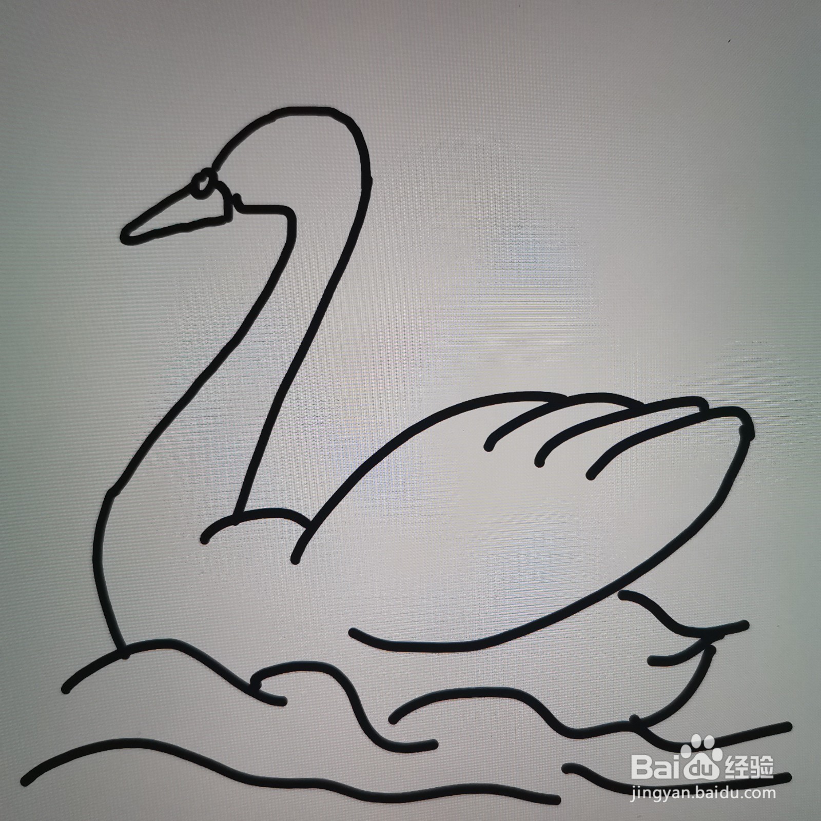 白天鹅简笔画怎么画