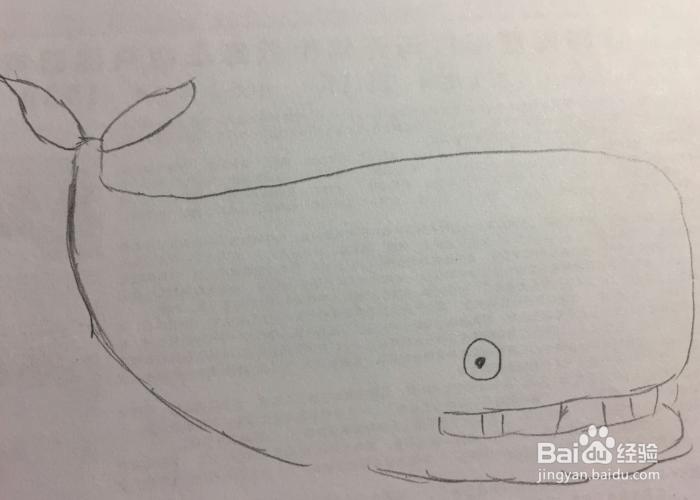 简笔画之喷水的鲸鱼