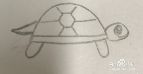 如何画小乌龟简笔画