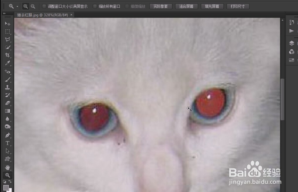 photoshop入门教程(58)红眼工具