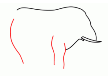 简笔画—如何画一只大象