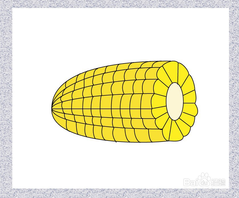 玉米粒简笔画 简单图片