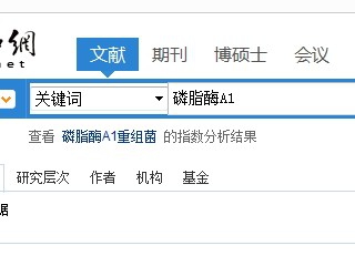 怎样利用关键词查询文献？