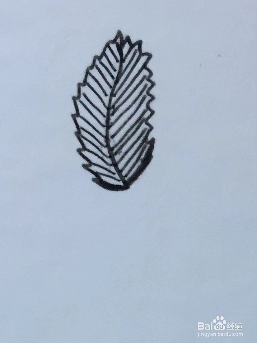 插画教程之凤仙花