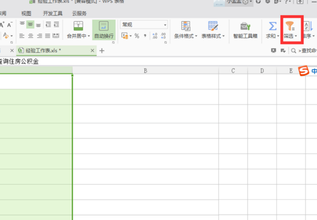 wps中文怎么筛选关键字