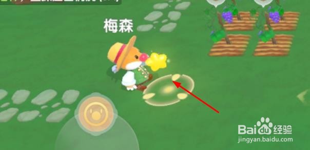 摩尔庄园如何认识梅森成为见习农夫