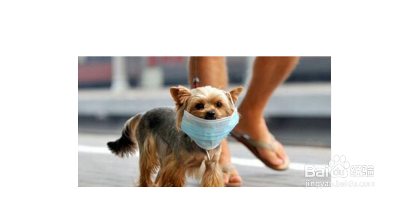 雾霾天气防范小技巧