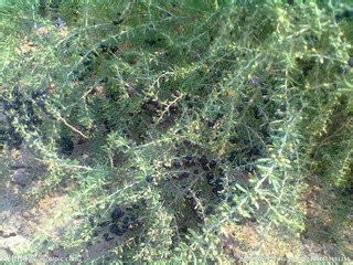 自己怕黑怎么办