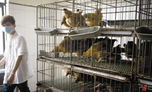 活禽店需要办理什么证