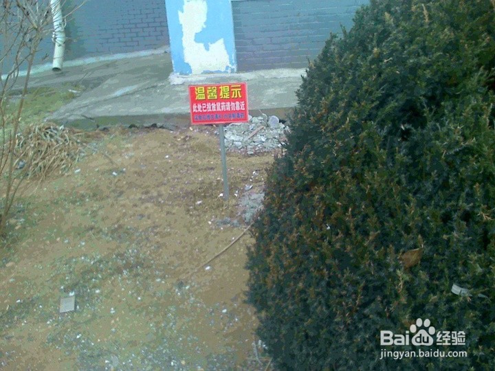 要保护植被就不要踩踏