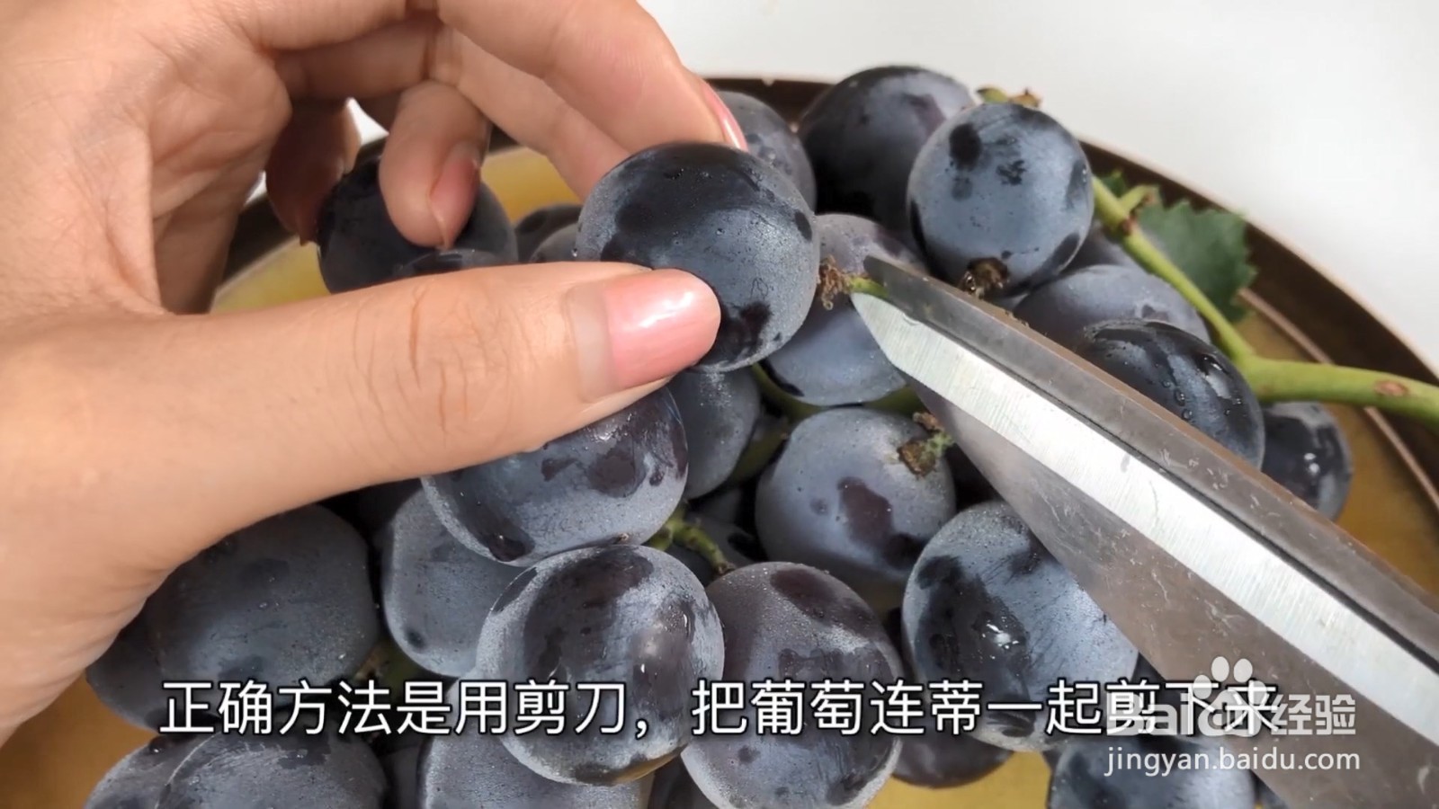 买回来的葡萄千万不要这样做,教你正确的方法!