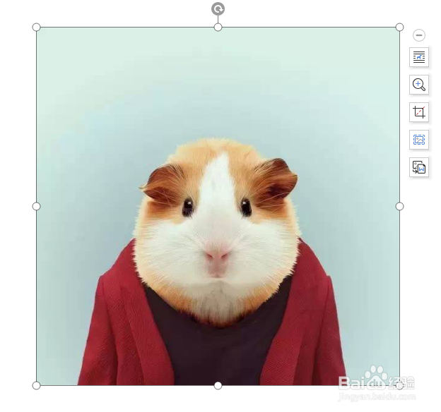 WPS WORD如何更改图片的形状