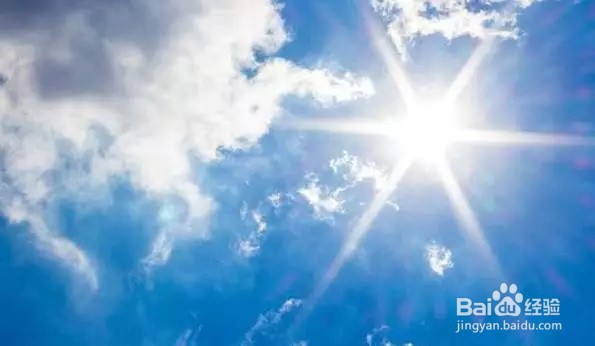 别墅白蚁怎么灭