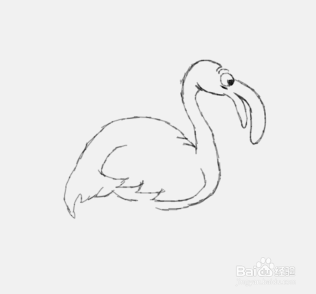 简笔画火烈鸟是怎么画的