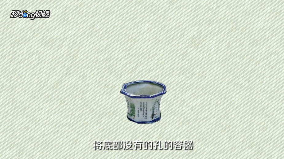 柠檬籽怎么种小盆栽