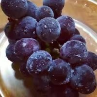 补肾妙招一吃就行