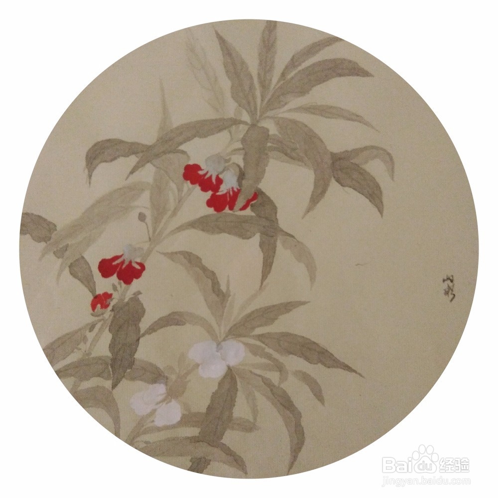 如何用没骨法画一株凤仙花