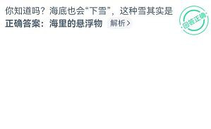 海底下雪其实是什么神奇海洋11.5答案
