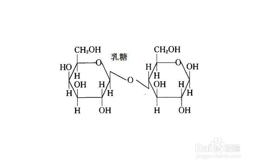 一杯奶茶有多少种糖